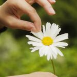 Hand die een blaadje van een bloem plukt. “Mijn ex houdt van me… mijn ex houdt niet van me…”